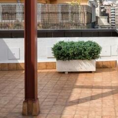 Отель Catalonia Barcelona 505 Испания, Барселона - 8 отзывов об отеле, цены и фото номеров - забронировать отель Catalonia Barcelona 505 онлайн
