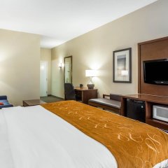 Comfort Suites in Garden City Beach, United States of America from 134$, photos, reviews - zenhotels.com