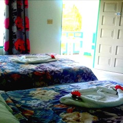 Отель Coral Seas Garden Resort детские мероприятия