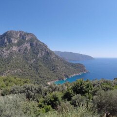 Kabak Mamma's Hostel (Adult Only)