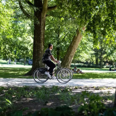 Отель Conscious Hotel Westerpark Нидерланды, Амстердам - отзывы, цены и фото номеров - забронировать отель Conscious Hotel Westerpark онлайн спортивное сооружение