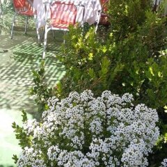 Отель B&B Dolcevita Италия, Помпеи - отзывы, цены и фото номеров - забронировать отель B&B Dolcevita онлайн приотельная территория