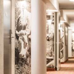Ameron Luzern Hotel Flora фитнесс-зал фото 2
