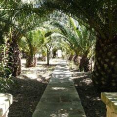 Отель Agroturismo Es Palmer фото 12