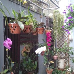 Отель Green Coco Homestay Hoi An фото 7
