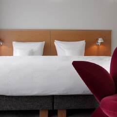 Avidon Art & Design Hotel комната для гостей фото 2