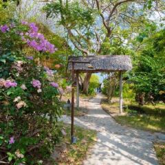 Отель Sensi Paradise Beach Resort фото 13