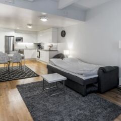 Отель Experience Living Budget Apartments Финляндия, Хельсинки - отзывы, цены и фото номеров - забронировать отель Experience Living Budget Apartments онлайн фото 9