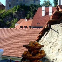 Отель PEREGRIN Чешский Крумлов фото 3