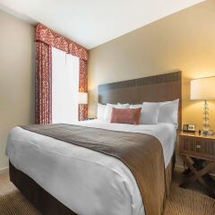 Отель Comfort Inn Downtown Vancouver Канада, Ванкувер - отзывы, цены и фото номеров - забронировать отель Comfort Inn Downtown Vancouver онлайн комната для гостей фото 3