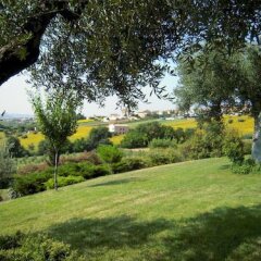 Отель Agriturismo Case al Sole Италия, Лорето - отзывы, цены и фото номеров - забронировать отель Agriturismo Case al Sole онлайн фото 4