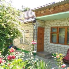 Гостиница Guest House On Samburova 279 в Анапе отзывы, цены и фото номеров - забронировать гостиницу Guest House On Samburova 279 онлайн Анапа фото 16