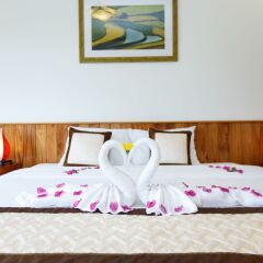Отель Lama Homestay Hoi An комната для гостей