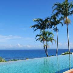 Отель Taveuni Island Resort And Spa бассейн фото 3