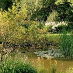 Отель Auberge Restaurant La Mara Ам-Нор приотельная территория