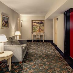 Отель Americana Hotel США, Арлингтон - отзывы, цены и фото номеров - забронировать отель Americana Hotel онлайн развлечения
