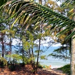 Отель An Bang Beach Hideaway Homestay Вьетнам, Хойан - отзывы, цены и фото номеров - забронировать отель An Bang Beach Hideaway Homestay онлайн фото 16