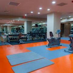 ISG Airport Hotel - Special Class фитнесс-зал