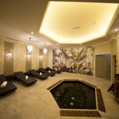 Отель Golden Palace Boutique сауна