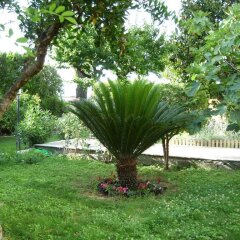 Отель B&B A Casa Di Catia Италия, Дзагароло - отзывы, цены и фото номеров - забронировать отель B&B A Casa Di Catia онлайн фото 7