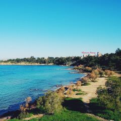 Отель Klonos Anna Греция, Эгина - отзывы, цены и фото номеров - забронировать отель Klonos Anna онлайн пляж