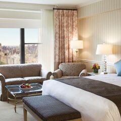 Отель Park Lane Hotel США, Нью-Йорк - 1 отзыв об отеле, цены и фото номеров - забронировать отель Park Lane Hotel онлайн комната для гостей фото 5