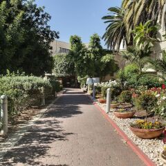 Ramat Rachel Resort Израиль, Иерусалим - 1 отзыв об отеле, цены и фото номеров - забронировать отель Ramat Rachel Resort онлайн фото 11