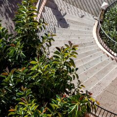 Le Saint Paul Hotel фото 3