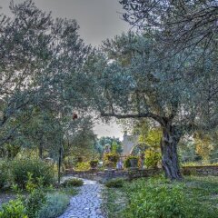 Отель Olive Farm Of Datca Guesthouse - Adults Only Датча фото 5