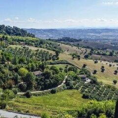 Отель Gallery Hotel Recanati Италия, Реканати - 1 отзыв об отеле, цены и фото номеров - забронировать отель Gallery Hotel Recanati онлайн фото 4