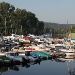 Отель Akzent Waldhotel Rheingau фото 3