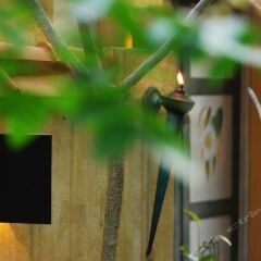 Отель Jetwing Ayurveda Pavilions фото 8