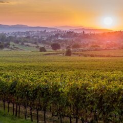 Отель Agriturismo Il Palazzo Ареццо приотельная территория