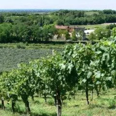 Отель Tenuta Le Sorgive Agriturismo Сольферино фото 4