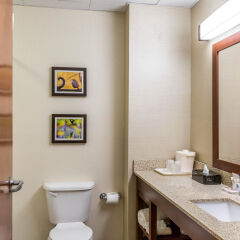 Comfort Inn in Lovettsville, United States of America from 102$, photos, reviews - zenhotels.com bathroom