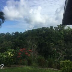 Отель Teresinajamaica Монастырь фото 13