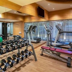 Отель Radisson Blu Marina Hotel Connaught Place Индия, Нью-Дели - отзывы, цены и фото номеров - забронировать отель Radisson Blu Marina Hotel Connaught Place онлайн фитнесс-зал фото 4