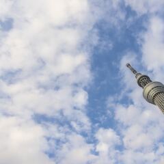 Отель Metropolitan Edmont Tokyo Япония, Токио - отзывы, цены и фото номеров - забронировать отель Metropolitan Edmont Tokyo онлайн спортивное сооружение