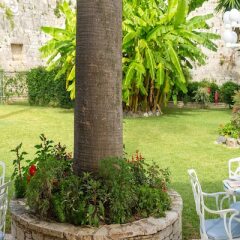 Отель Corfu Palace Hotel Греция, Корфу - 4 отзыва об отеле, цены и фото номеров - забронировать отель Corfu Palace Hotel онлайн фото 8