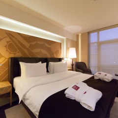 Гостиница Crowne Plaza St.Petersburg-Ligovsky (Краун Плаза Санкт-Петербург Лиговский) в Санкт-Петербурге - забронировать гостиницу Crowne Plaza St.Petersburg-Ligovsky (Краун Плаза Санкт-Петербург Лиговский), цены и фото номеров комната для гостей фото 9