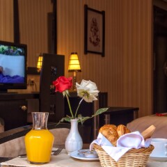 Отель Royal Mirage Deluxe в номере фото 2