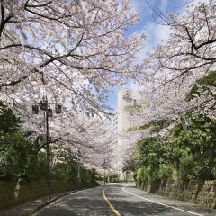 Отель Prince Sakura Tower Токио фото 7