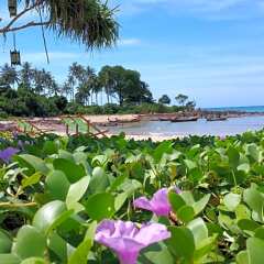 Отель Lazy Days Bungalows Ланта фото 18