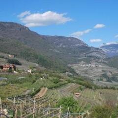 Отель Agritur Le Pergole Помароло фото 3