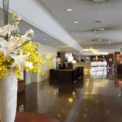 Akasaka Excel Hotel Tokyu интерьер отеля фото 2