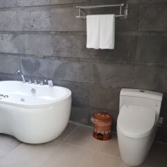 Отель Nha Trang Harbor View Villa Вьетнам, Нячанг - отзывы, цены и фото номеров - забронировать отель Nha Trang Harbor View Villa онлайн ванная