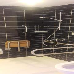 Отель Holiday Inn Express Istanbul-Altunizade ванная