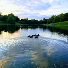 Отель Sefton Park Hotel Великобритания, Ливерпуль - отзывы, цены и фото номеров - забронировать отель Sefton Park Hotel онлайн приотельная территория