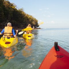 Отель Phi Phi Island Village Beach Resort Таиланд, Краби - 2 отзыва об отеле, цены и фото номеров - забронировать отель Phi Phi Island Village Beach Resort онлайн приотельная территория