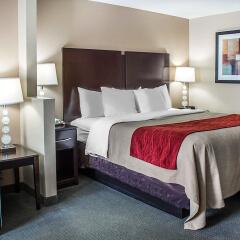 Отель Holiday Inn Express Columbus Downtown комната для гостей фото 2